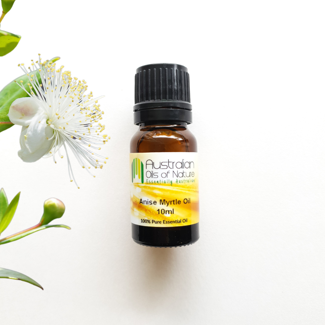 Anise Myrtle Essential Oil