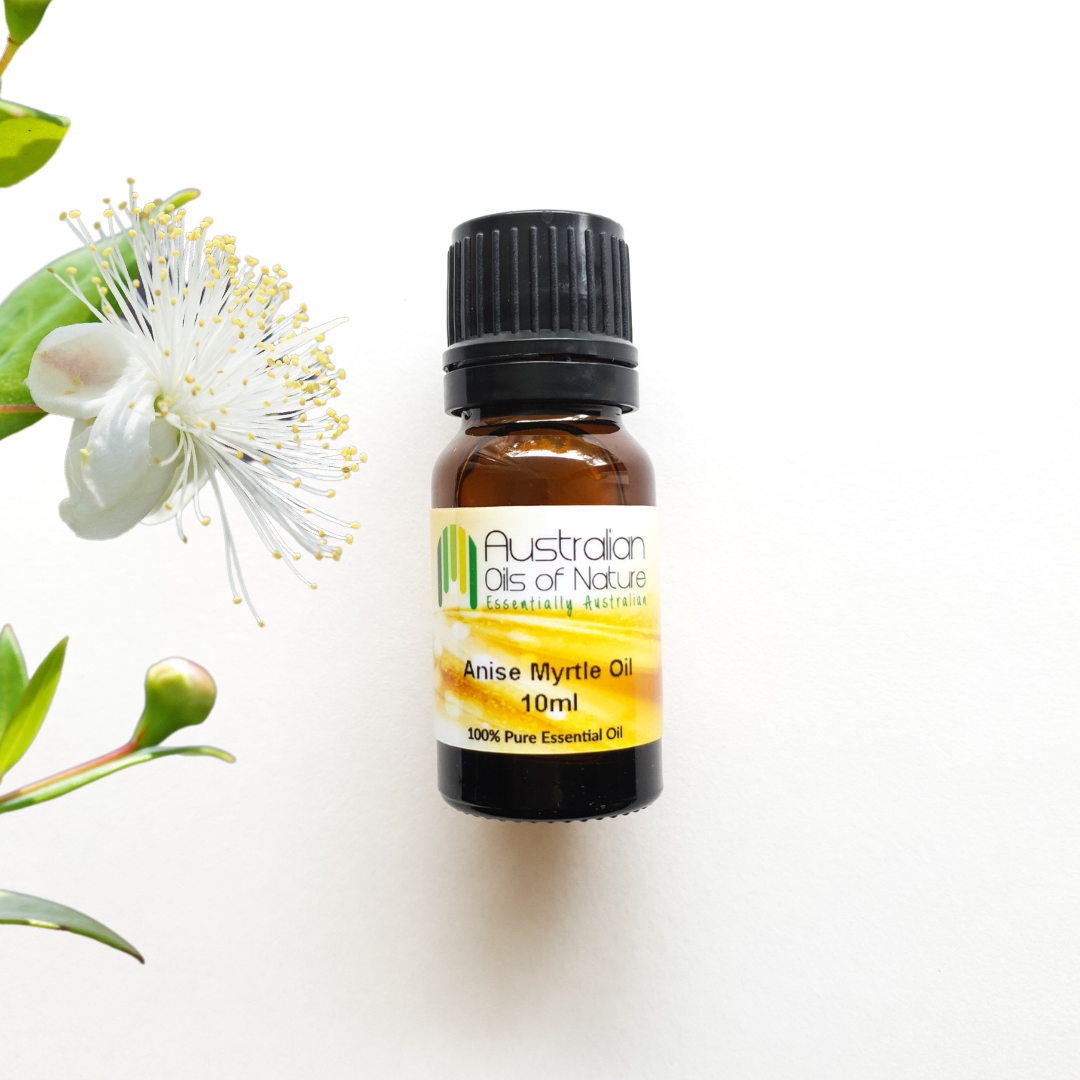  Anise Myrtle Essential Oil