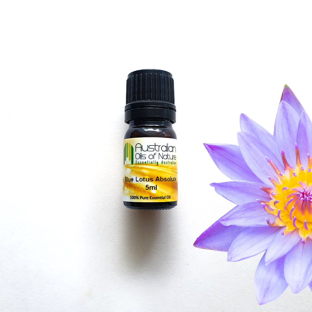 Blue Lotus Absolute Oil