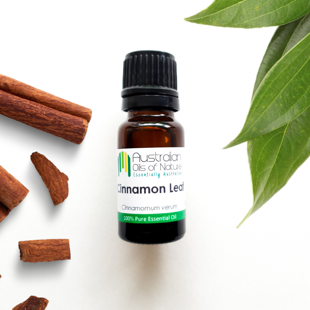 Cinnamon Leaf Essential Oil