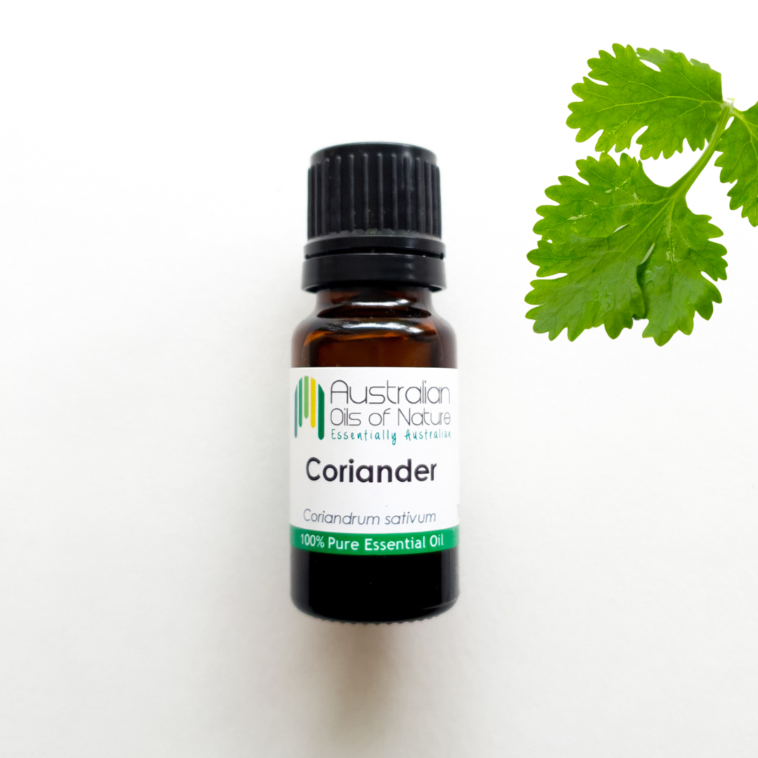 Coriander Essential Oil