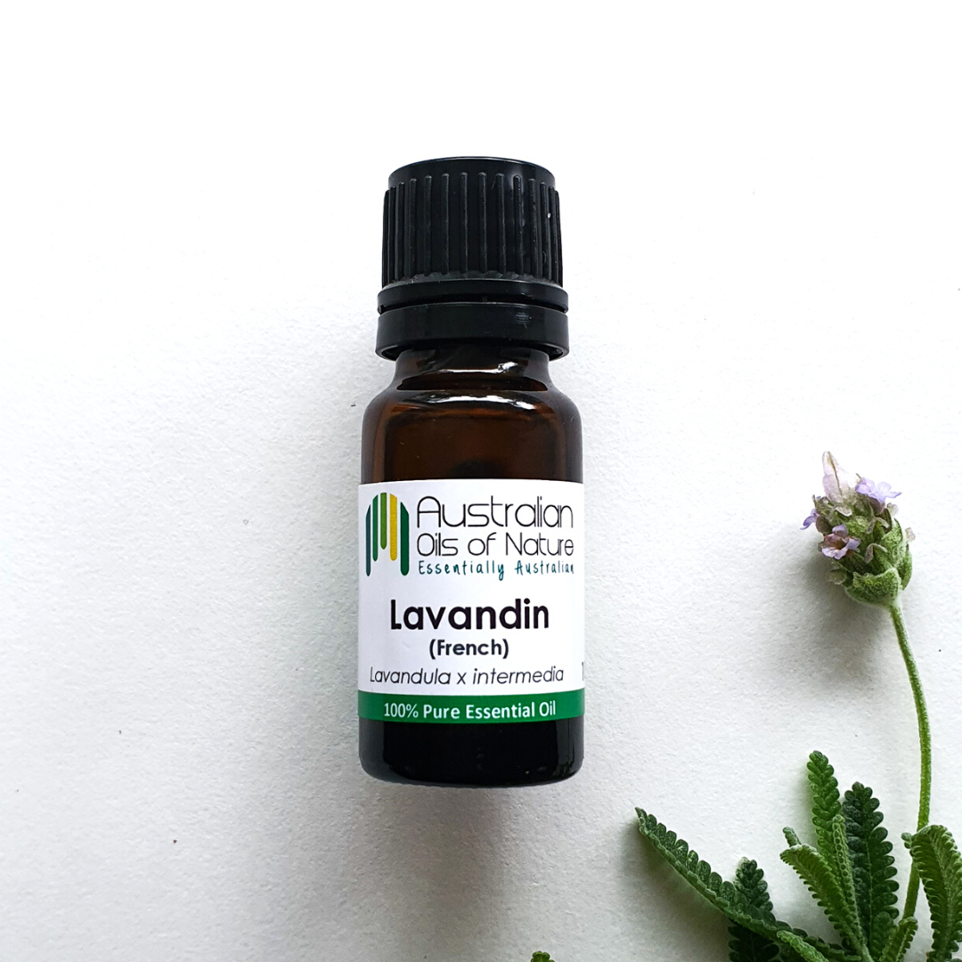 Lavandin French Essential Oil