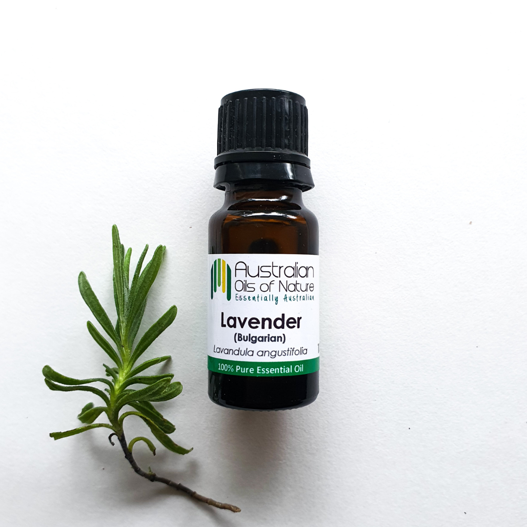 Lavender Bulgarian Essential Oil