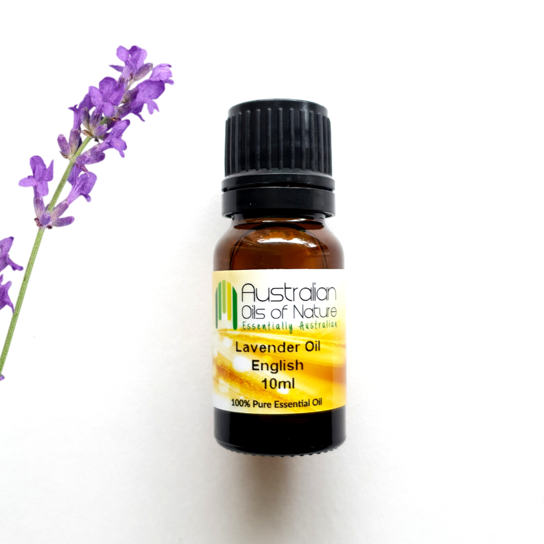  Lavender (English) Essential Oil