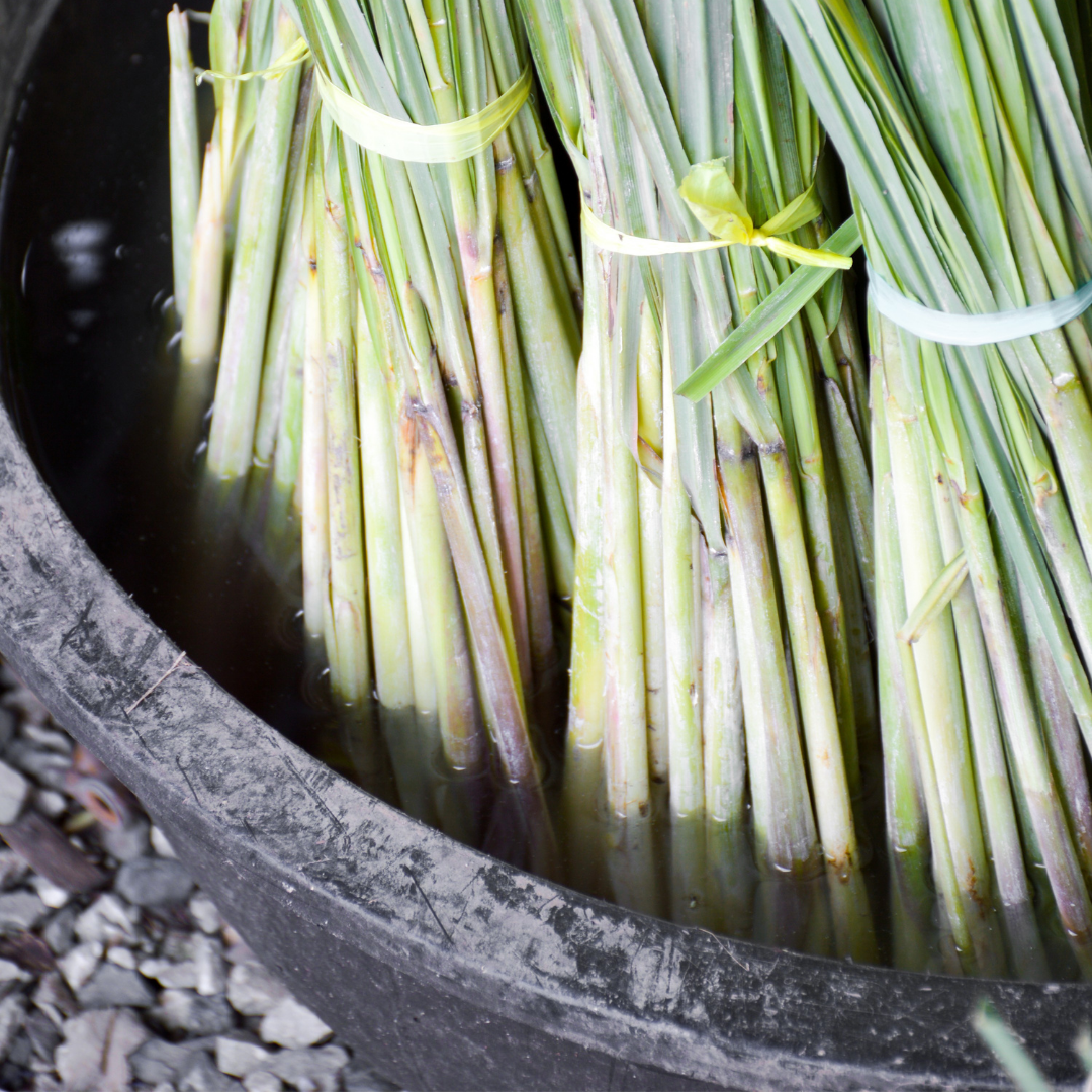 Lemongrass Essential Oil