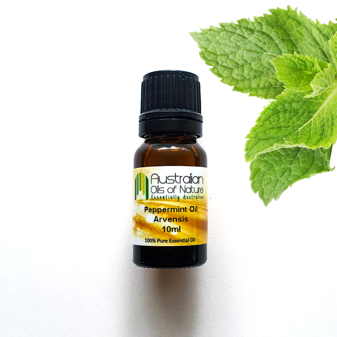 Peppermint Arvensis Essential Oil