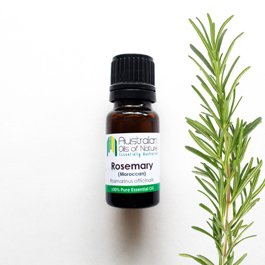 Rosemary (French) Essential Oil