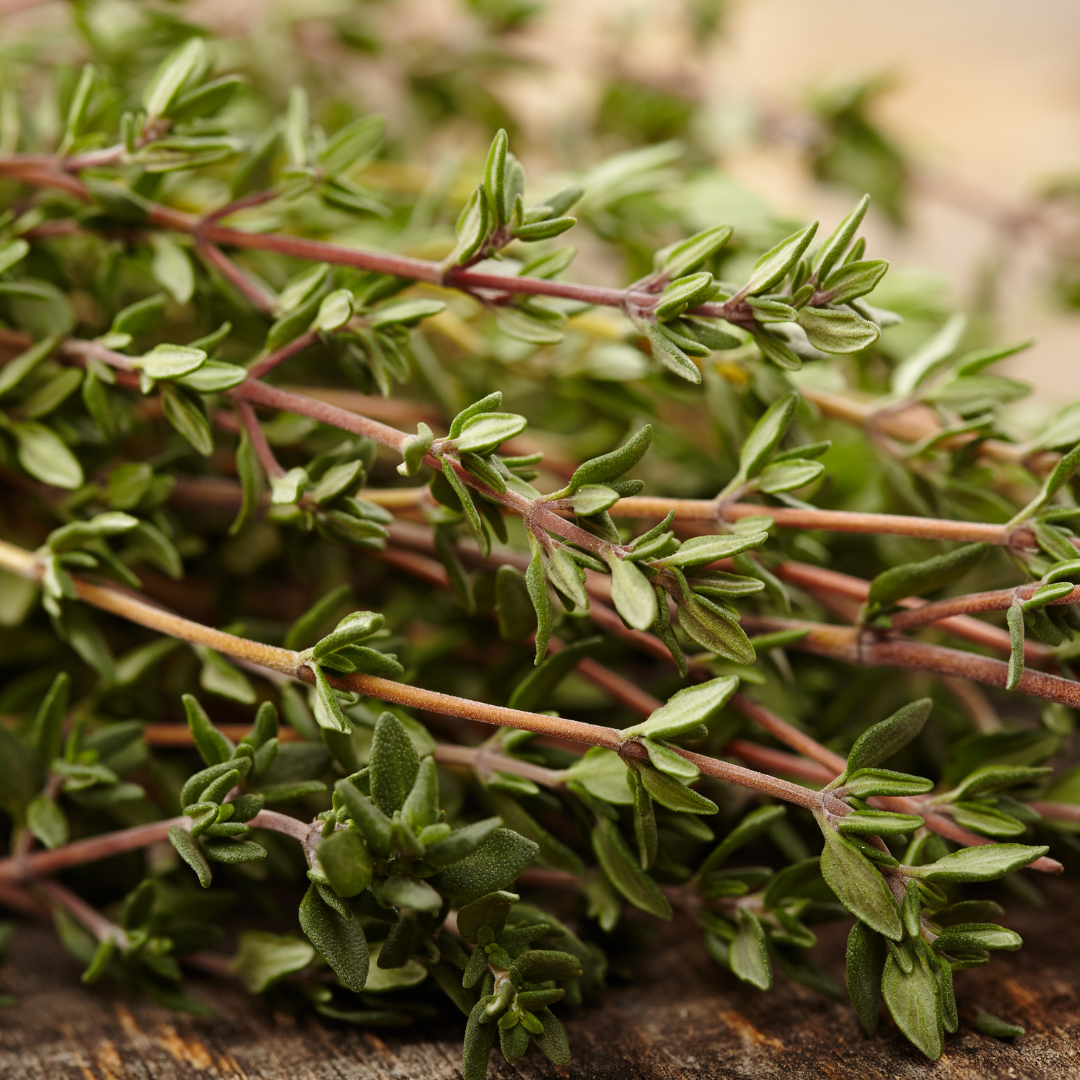 Thyme Essential Oil