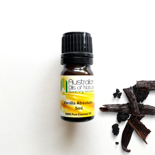 Vanilla Absolute